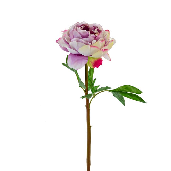 American Best - Wholesale Artificial Flowers - 26" REAL TOUCH PEONY STEM2