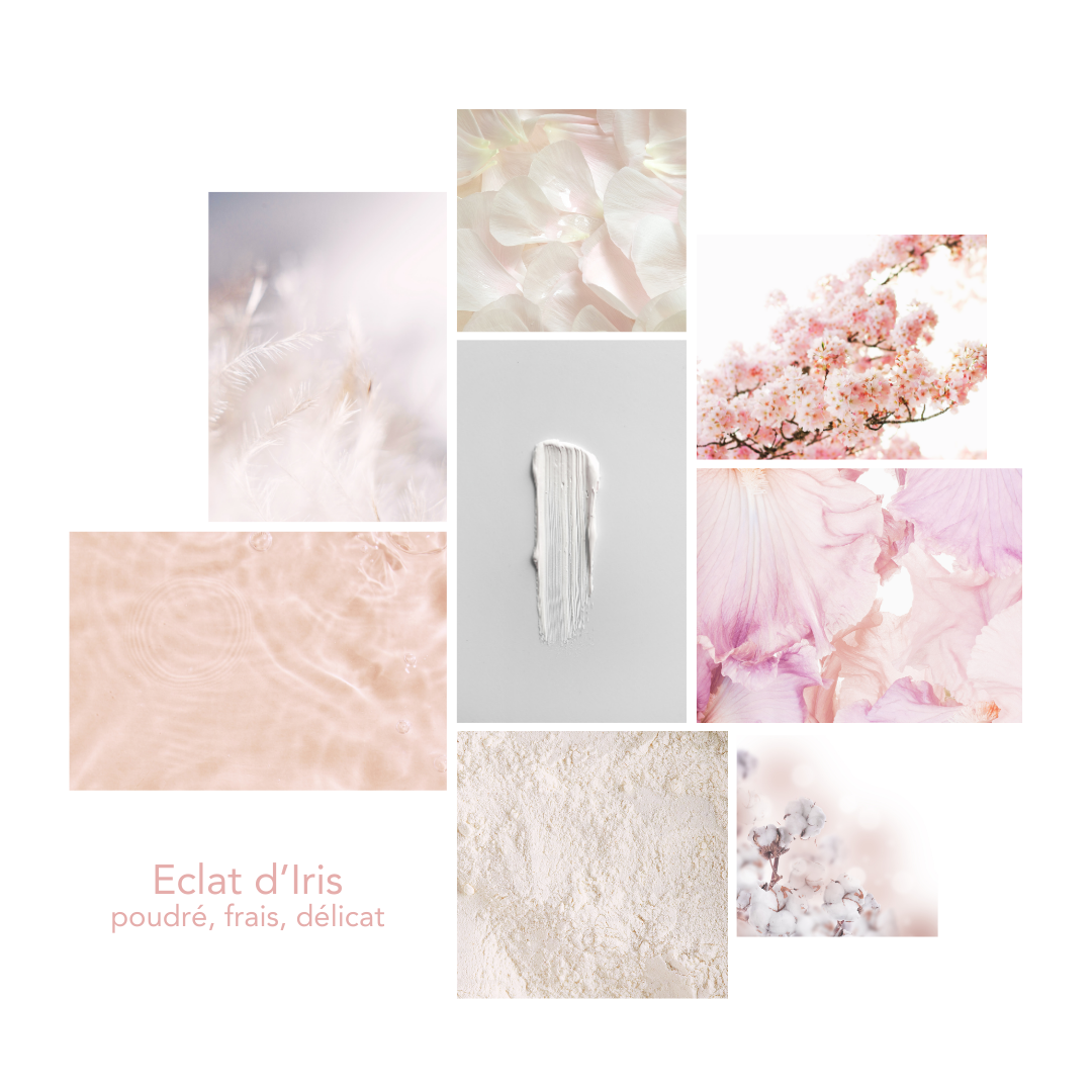 Pikoc - Wholesale Liquid Laundry Detergent - Laundry Detergent Eclat D’iris 5L3