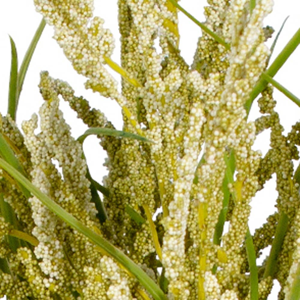 HomeRoots – wholesale Artificial plant – 14" Green Artificial Plant In Round Brown Wood Pot3