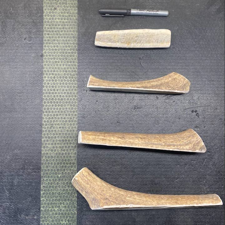 Sawtooth Antler Chews - Wholesale Pet Chew Toy - Dog - Dog Antler Chews32