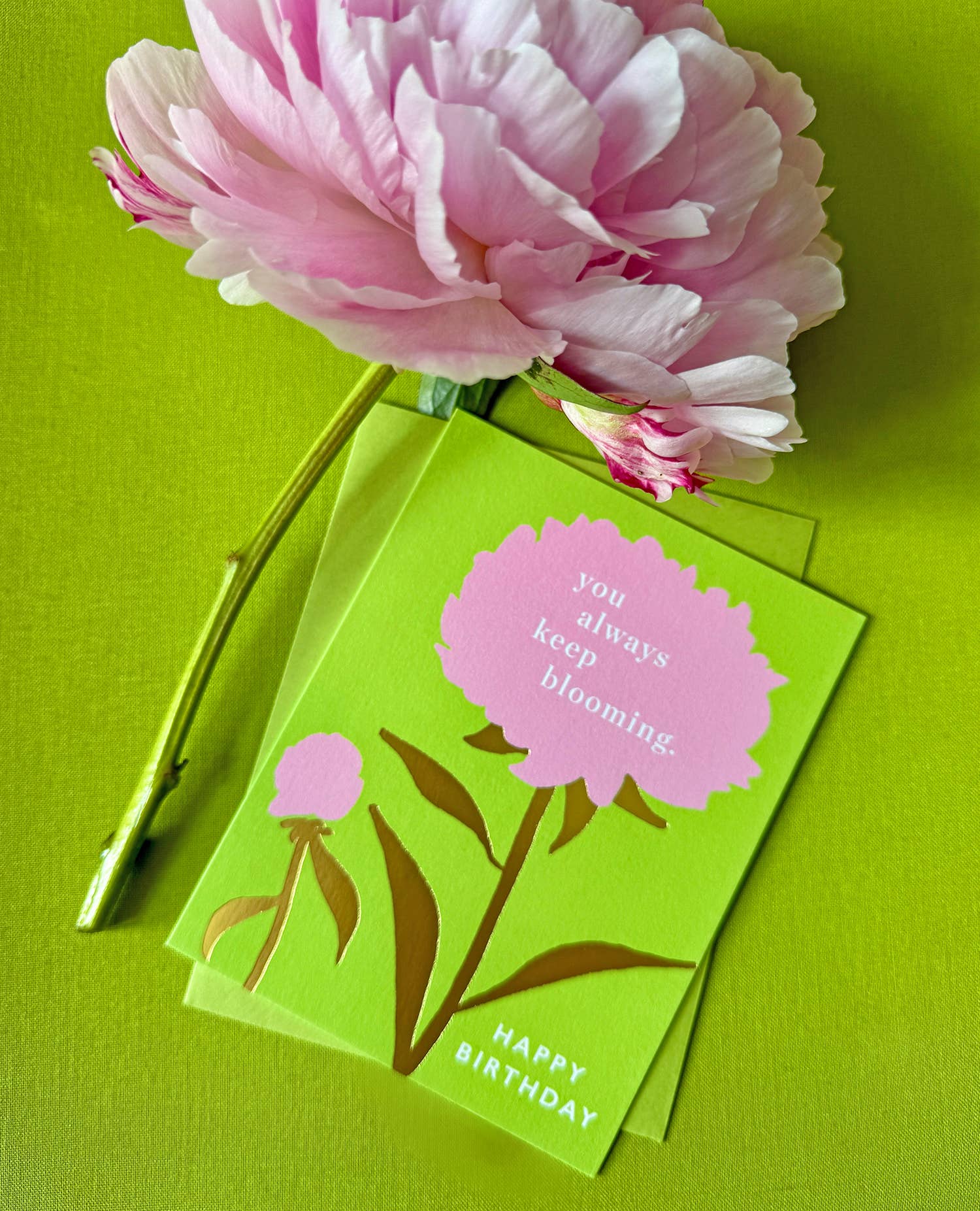 J.Falkner Cards - Vente Cartes d'anniversaire - Anniversaire floraison3