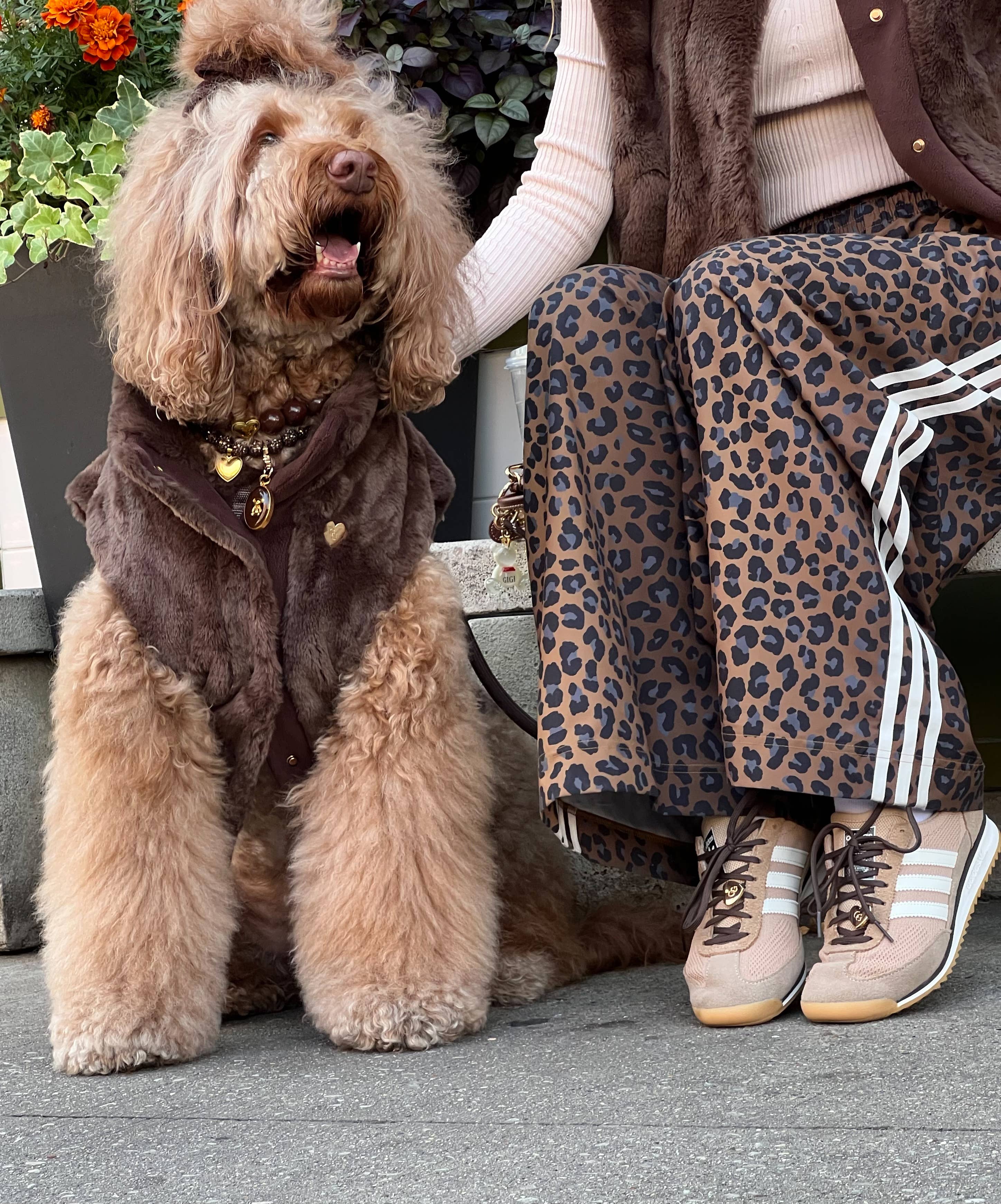 GIGI’S USA - Wholesale Pet Vest - Dog - Furlowe Dog Vest - Mocha0