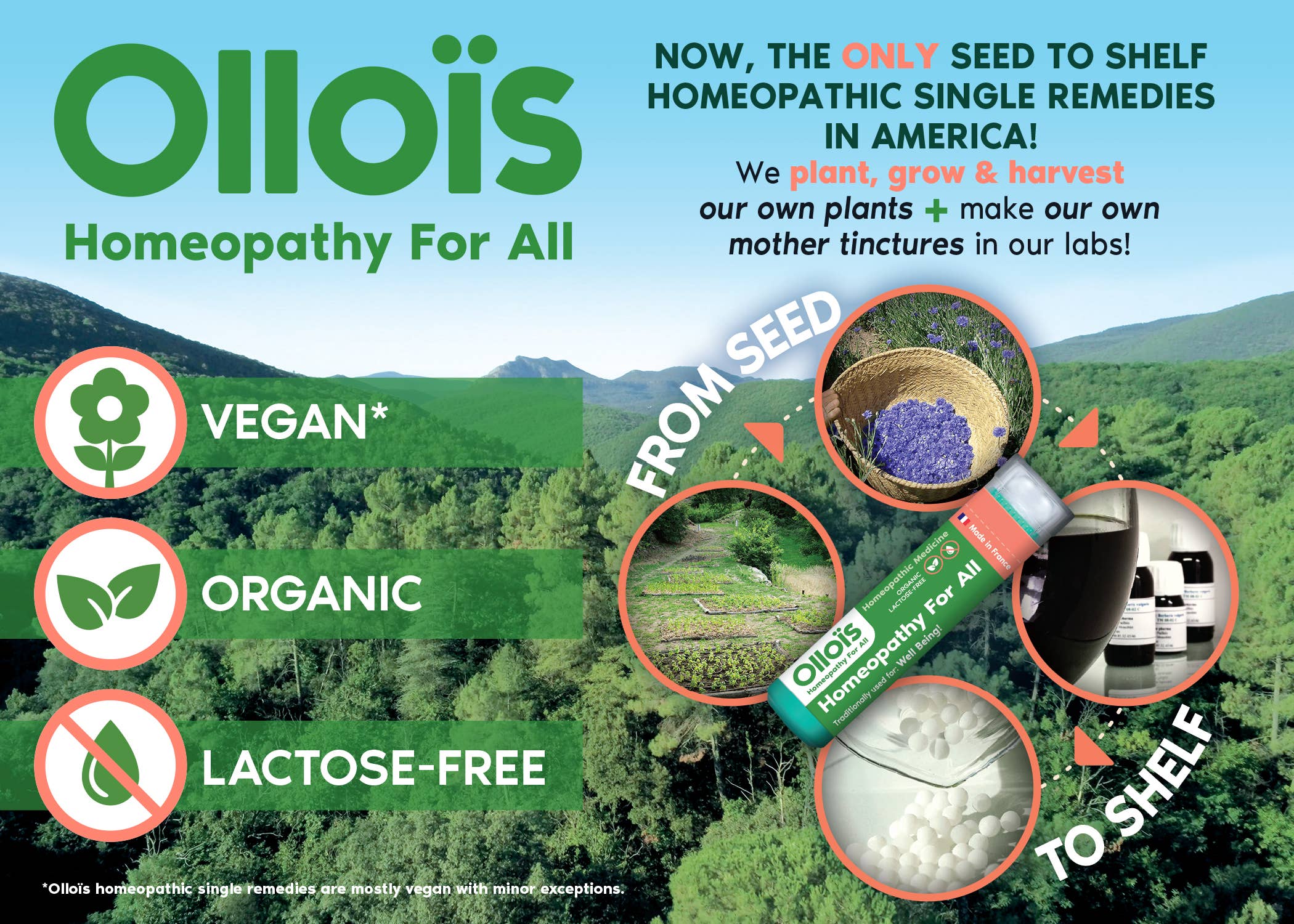 Ollois - Wholesale Oral Supplement/Vitamin - Olloïs 30c Complete (6 each) = 356 tubes / 4 dispensers3