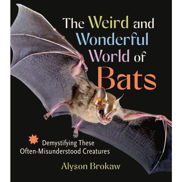 The Weird and Wonderful World of Bats for wholesale by Hachette Book Group