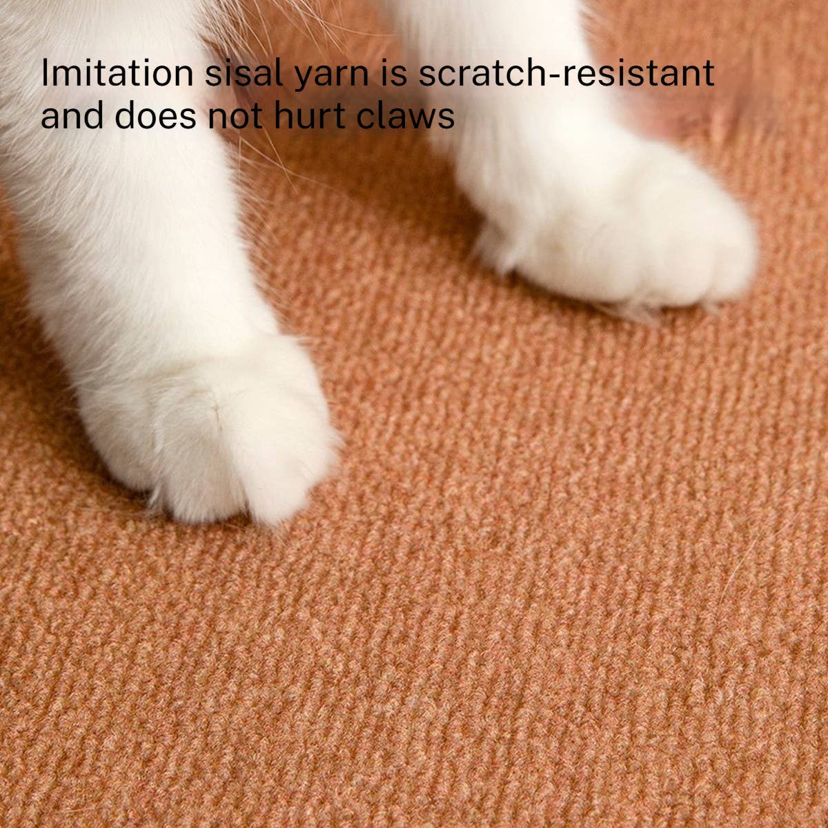 PAWPAWwholesale - Wholesale Pet Mat - Dog - Cat Rug Pad,Anti-Shedding, Scratch-Proof, XL Size_CWMM70298