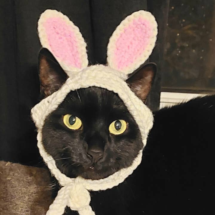 Glitter Ghost Clothing and Accessories - Vente Chapeau – chien - Chapeau de lapin de Pâques en crochet - Bonnet pour chat - Chapeau pour animal de compagnie