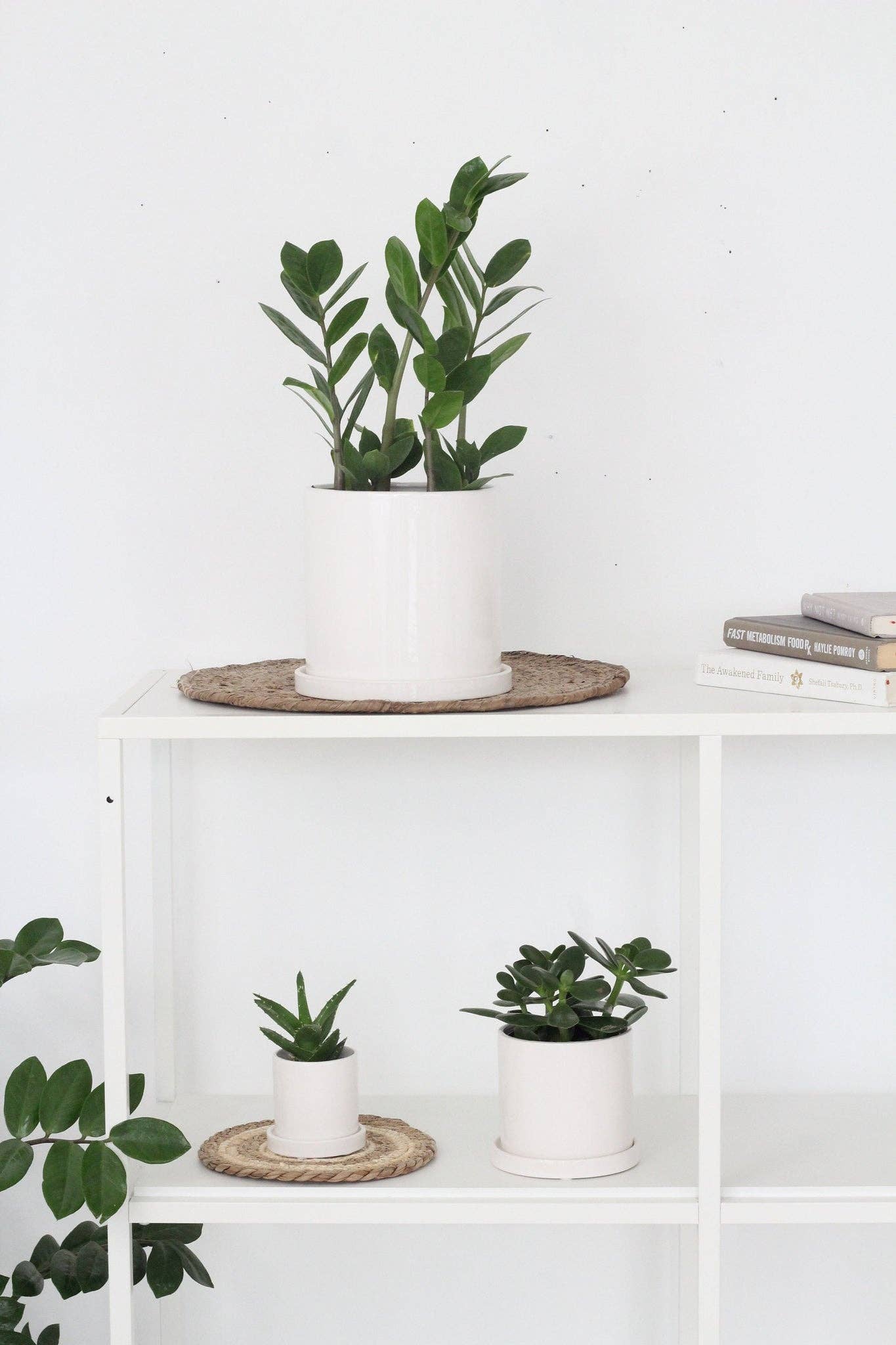 Sprout & About - Wholesale Plant Pot - Small Planter with Saucer in Minimalist Glossy White3