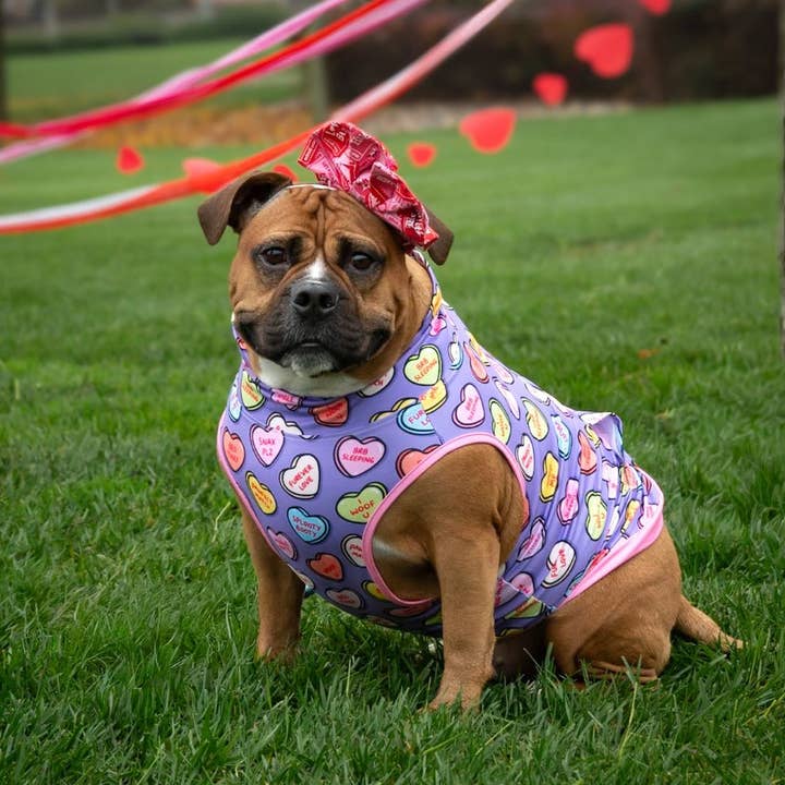 Conversation Hearts Muscle Tee - Purple for wholesale by Pittie Clothing Co.