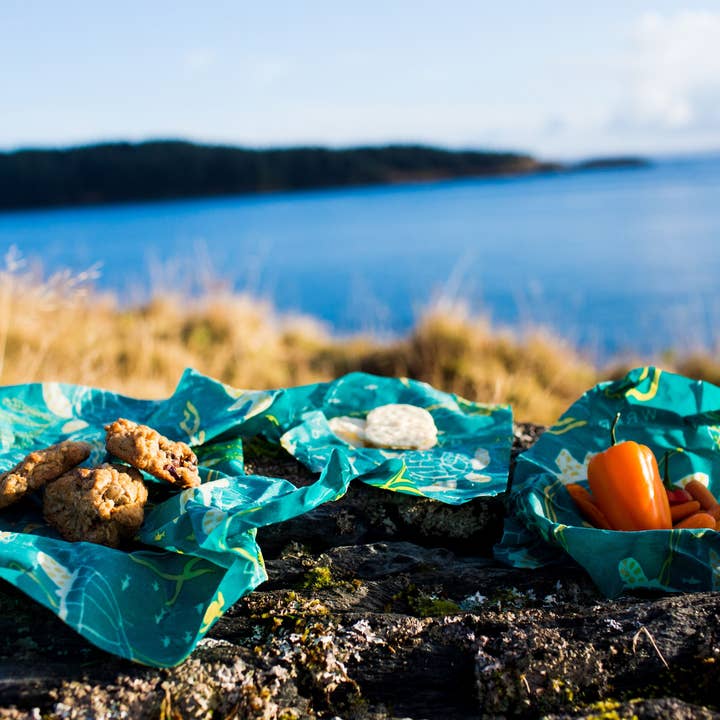 Bee's Wrap - Wholesale Food Storage Wrap/Bag - Lunch 3 Pack - Oceans Print1