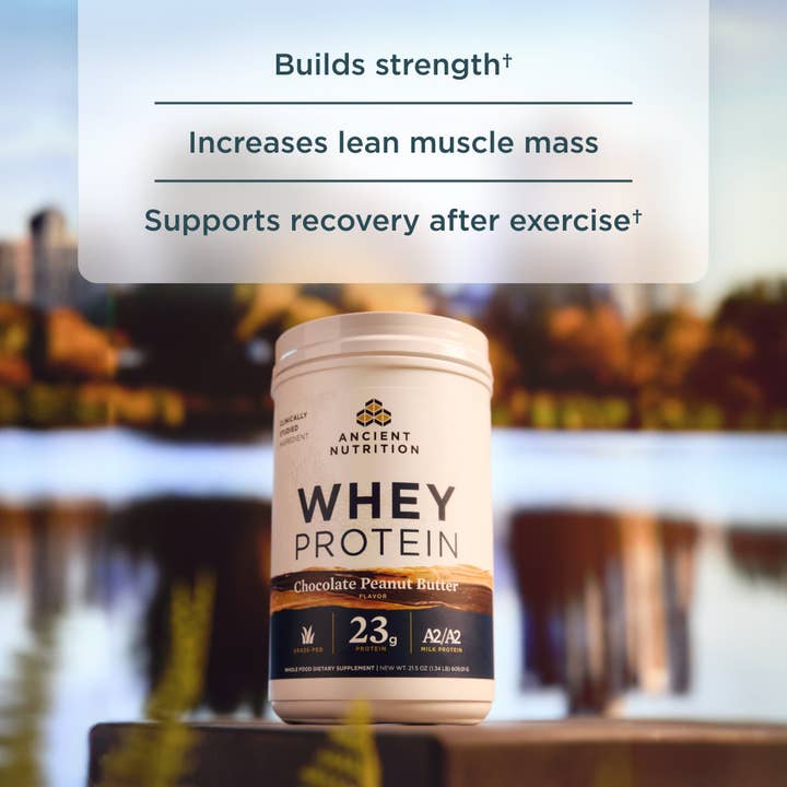 Ancient Nutrition - Wholesale Protein/Superfood Powder - Whey Protein | Powder Chocolate Peanut Butter (18 Servings)2