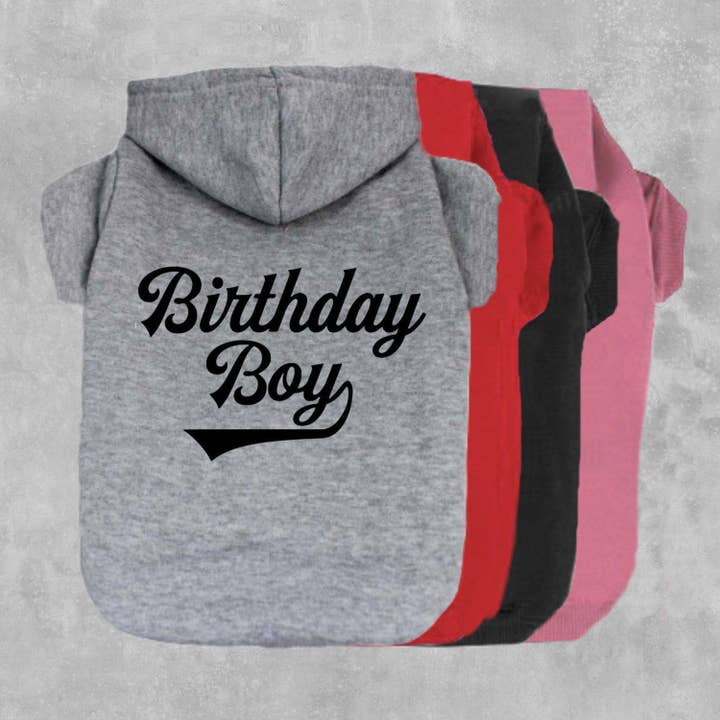 Birthday Boy Hoodie voor honden voor wholesale door The Honest Dog Company