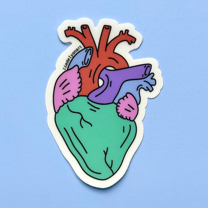Anatomical Heart Water Bottle Sticker, Science Laptop Decal and other Purchase Wholesale cl003. Free Returns & Net 60 Terms on Faire trending on Faire.