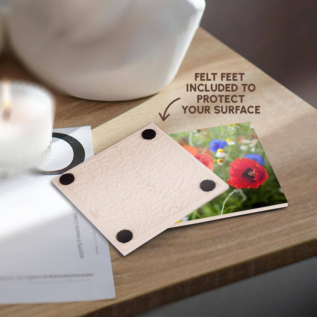 3dRose - Wholesale Coasters - 3dRose, Image of Poppy Flower Close Up, Coaster3