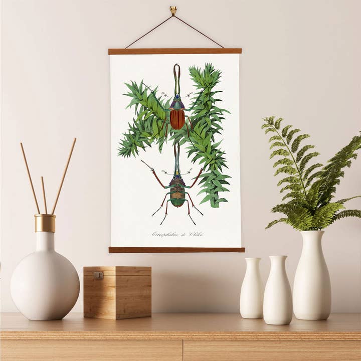 Vintage Banners - Wholesale Painting/drawing - Stag Beetle Painting by Paul Gervais - Giclee Print on Canvas with Magnetic Hanger3