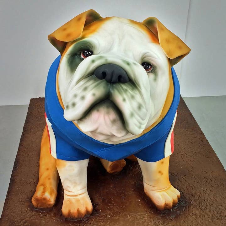 Summitbaking - Wholesale Cake Decorating Kit - Cake Sculpting Hook 22