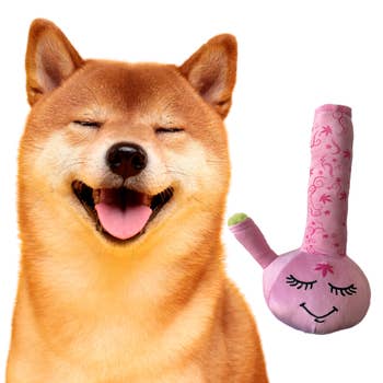 Dog Toys – Pomiez.world Shop