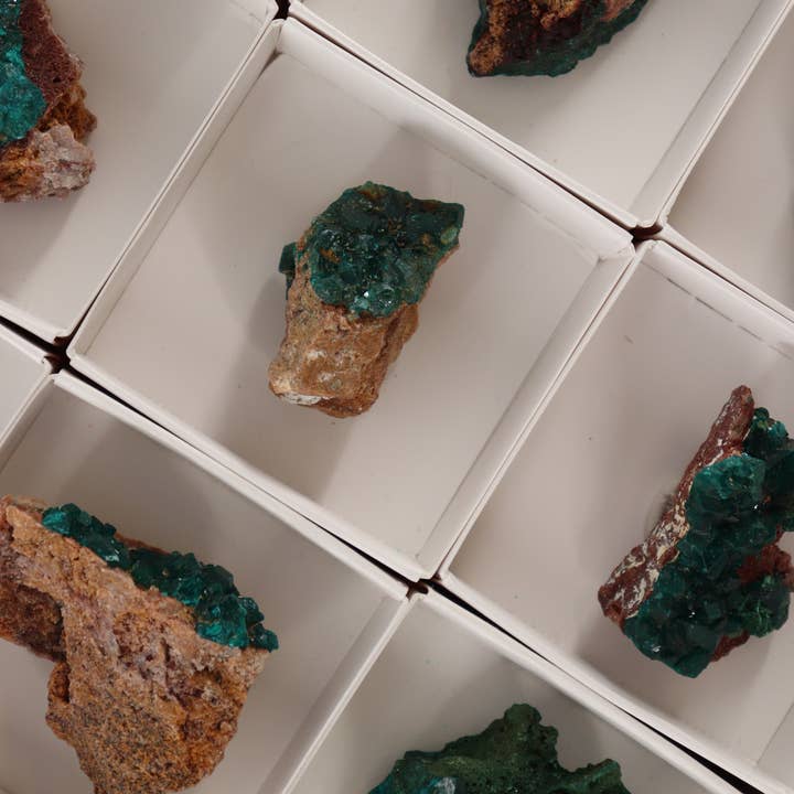 Mi Esperanza Minerals - Wholesale Spiritual Stone/Crystal - Dioptase Flat Set of 124