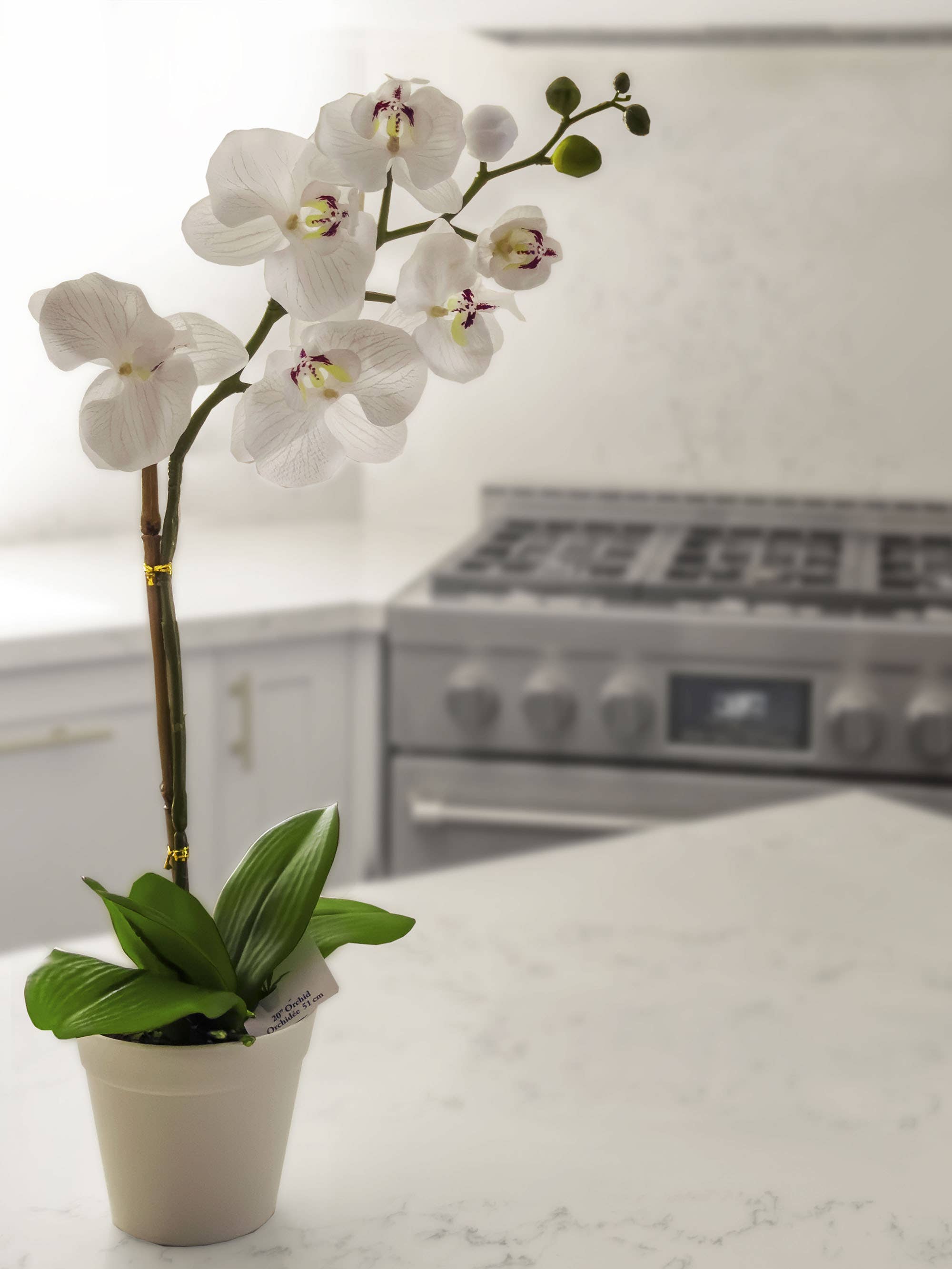 Algreen - Wholesale Artificial Plant - 20" Orchid White (5" Pot; 20"H)3