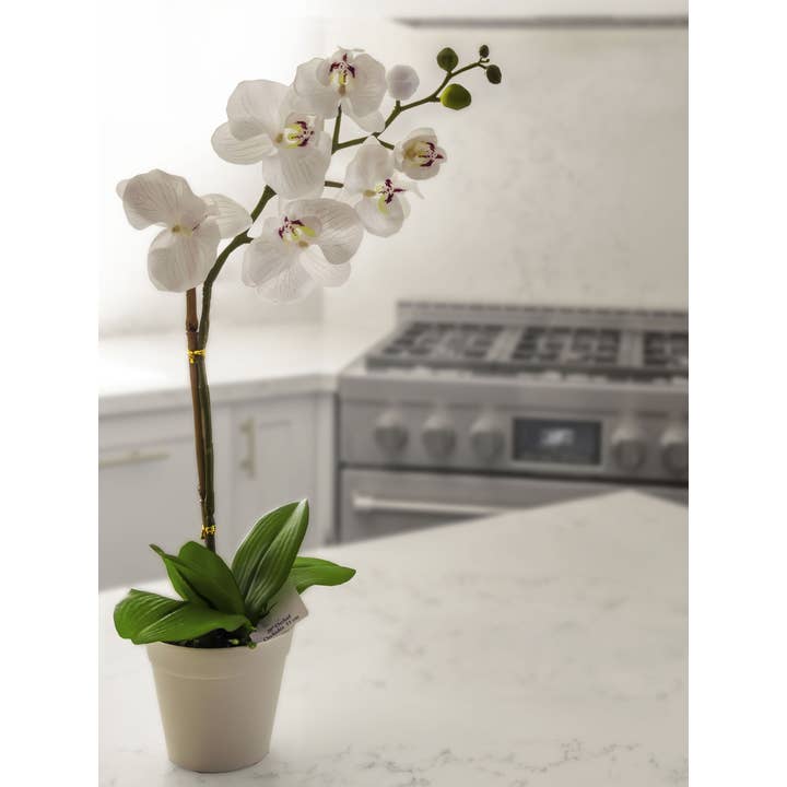 Algreen - Wholesale Artificial Plant - 20" Orchid White (5" Pot; 20"H)3