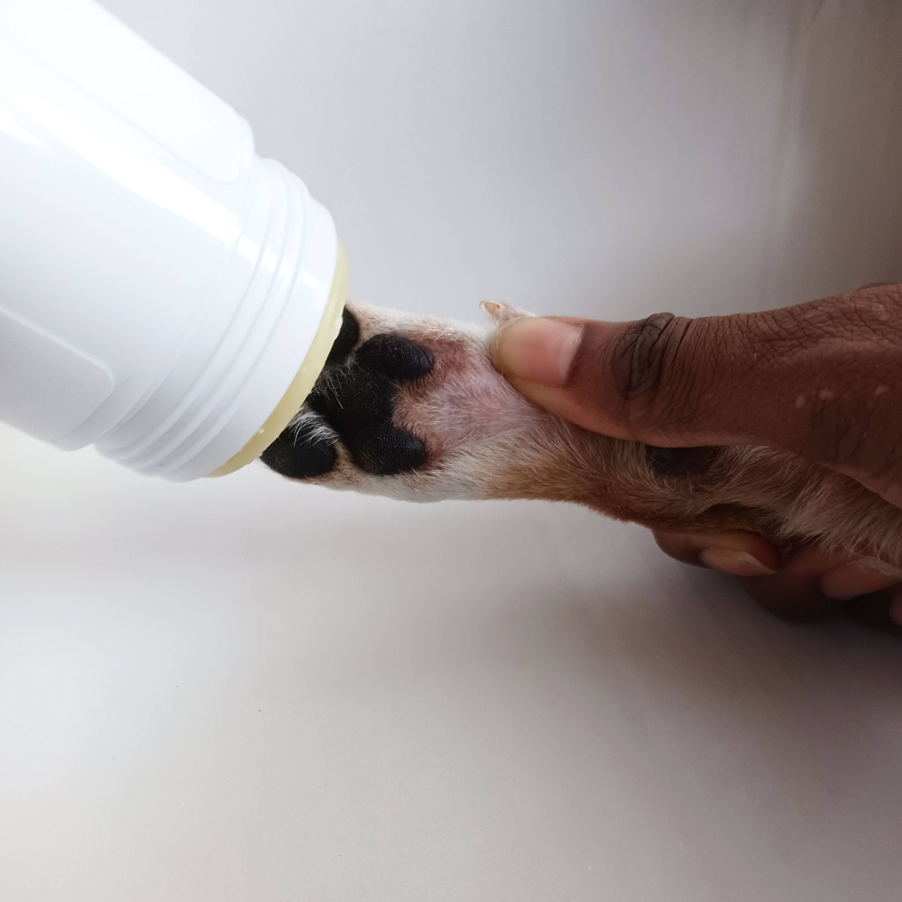 Simply Sage Dog Treats, LLC - Wholesale Pet Paw Protection - White Label Unscented Paw Balm Dog and Cat, Roller Stick6