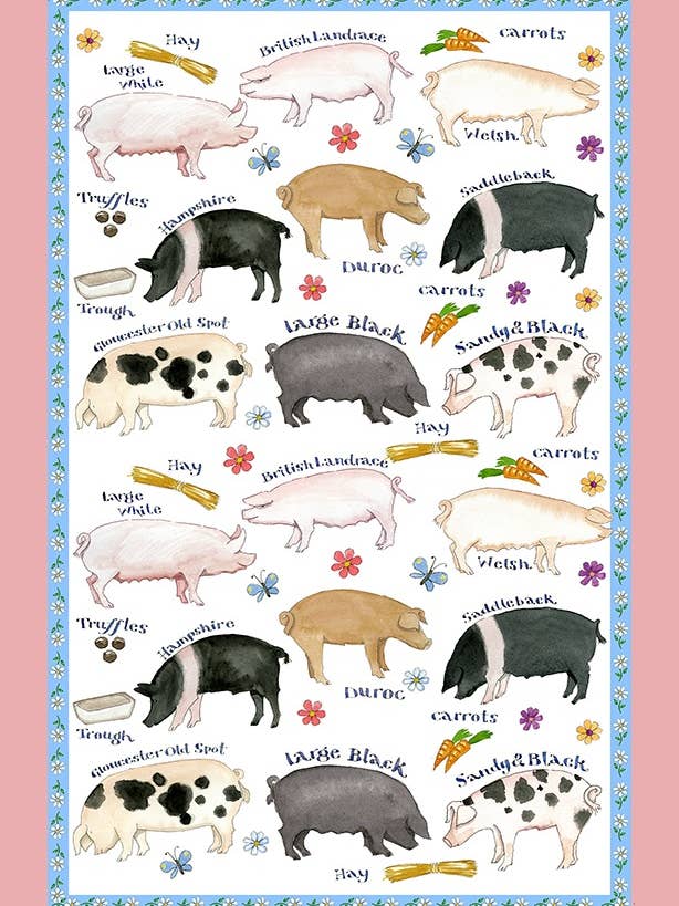 Pig Breeds Cotton Tea Towel for wholesale by Samuel Lamont and Sons