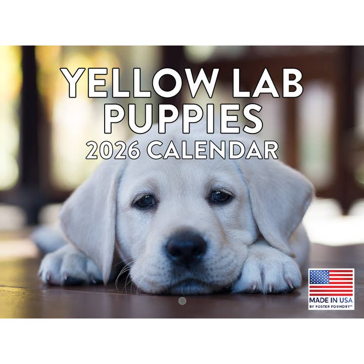 Yellow Lab Puppy Calendar 2026 Monthly Wall Calender 12 Month for wholesale by 2026 Calendars