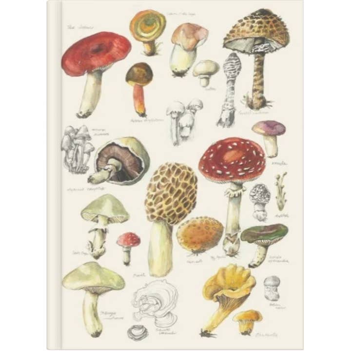 Windy Hollow Books - Wholesale Journal/diary – Child - Mushroom Edit By Nuovo Group x Anna Pignataro