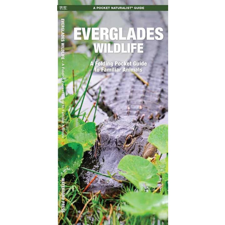 Simon & Schuster - Wholesale Nature & Outdoors - Everglades Wildlife by James Kavanagh