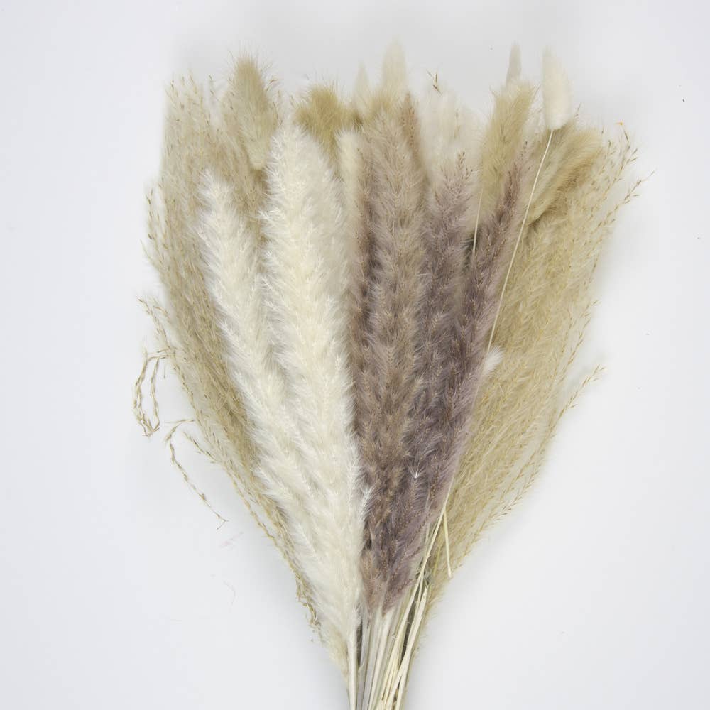 Party Pro - Wholesale Dried/Pressed Flowers - BOUQUET OF NATURAL DRIED FLOWERS