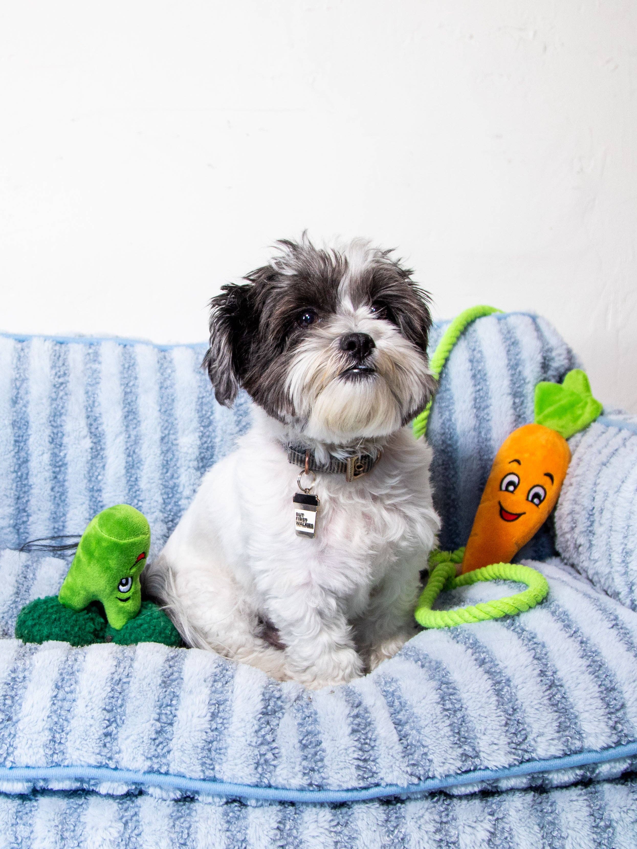 Glow Pups – cama - Cão por atacado – Cama para cachorro estilo sofá listrado azul claro de luxo14