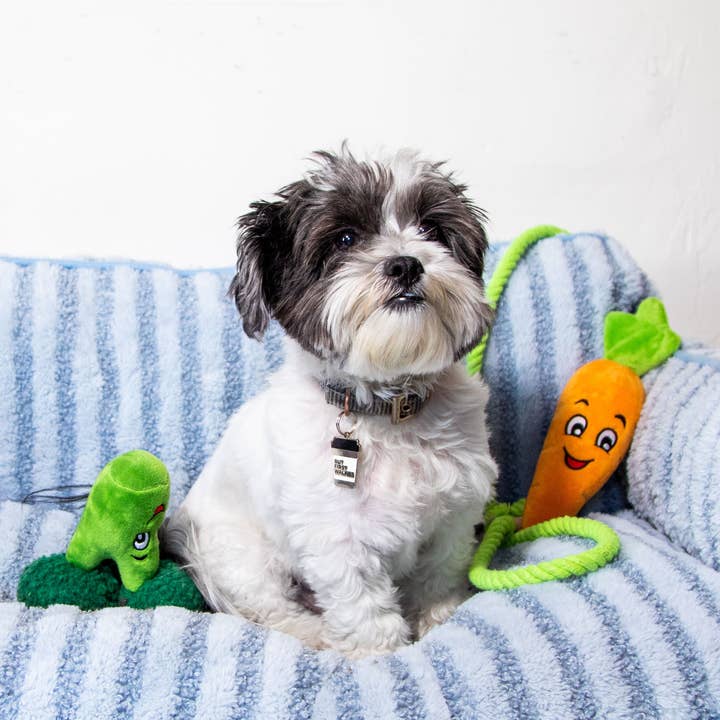 Glow Pups - Wholesale Pet bed – Dog - Luxury Light Blue Striped Sofa Dog Bed14