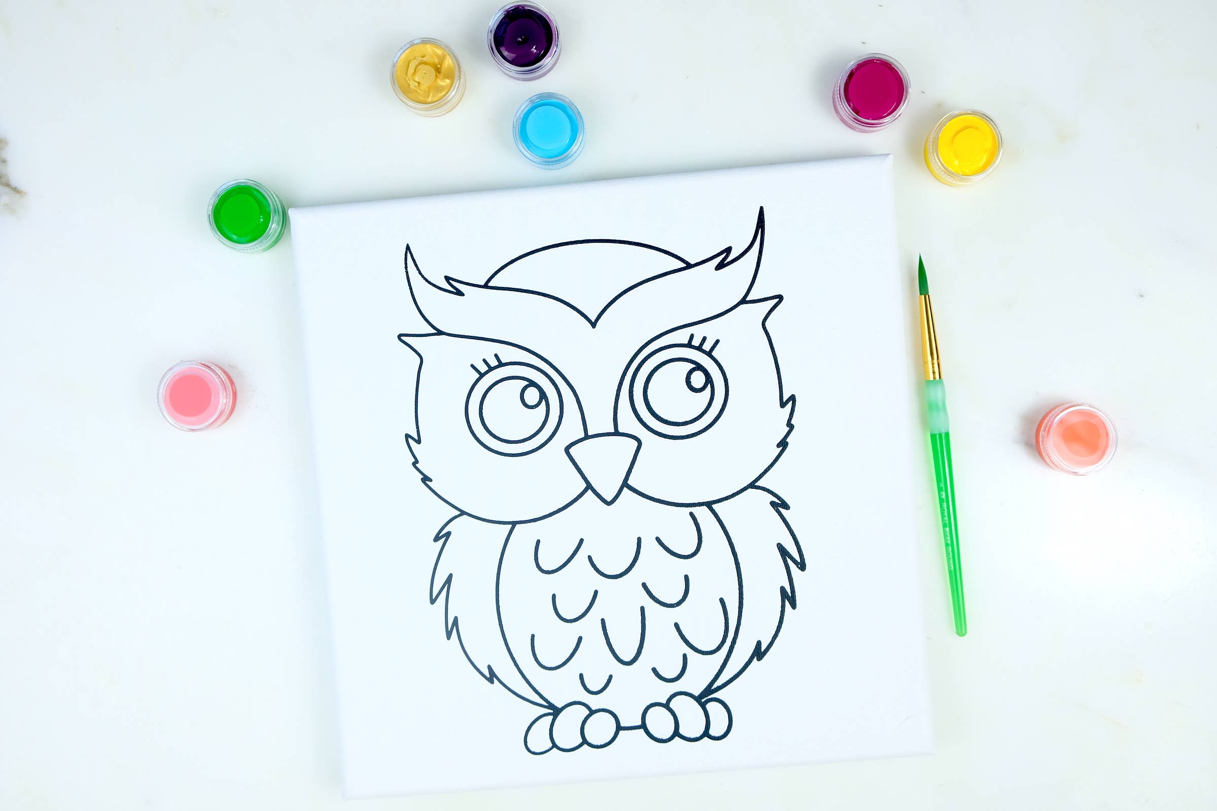 Twirling Bird Creative - Wholesale DIY Craft Kit - Kids - Canvas Painting Kit - Owl0