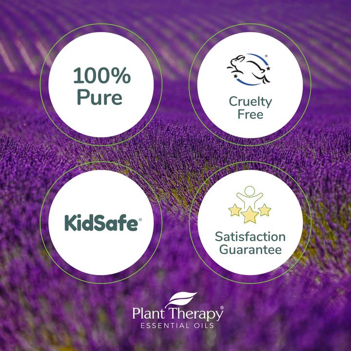 Plant Therapy - Vendita all'ingrosso Olio essenziale roll-on - Olio essenziale di lavanda roll-on pre-diluito2