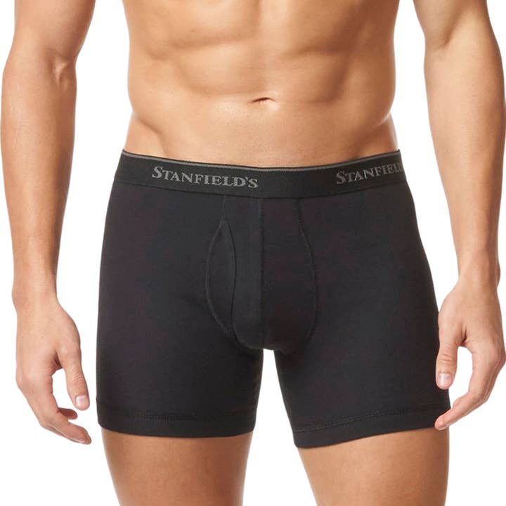 Men's Premium Cotton 2-Pk Modern Fit Low Rise Boxer Brief for wholesale by Stanfield's