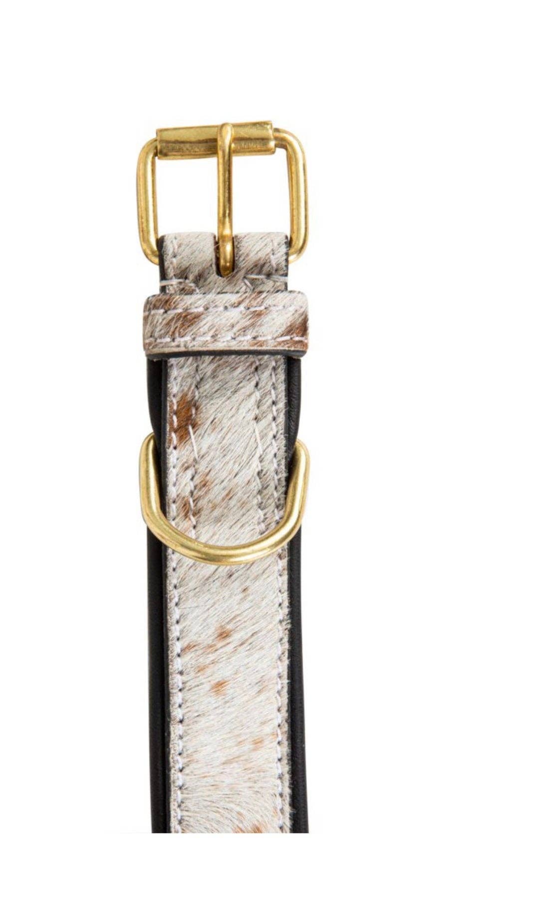 The Sterling Gypsy - Wholesale Pet Collar - Dog - Cowhide and Leather Western Dog Collar Cow Farm Dog Show Dog4