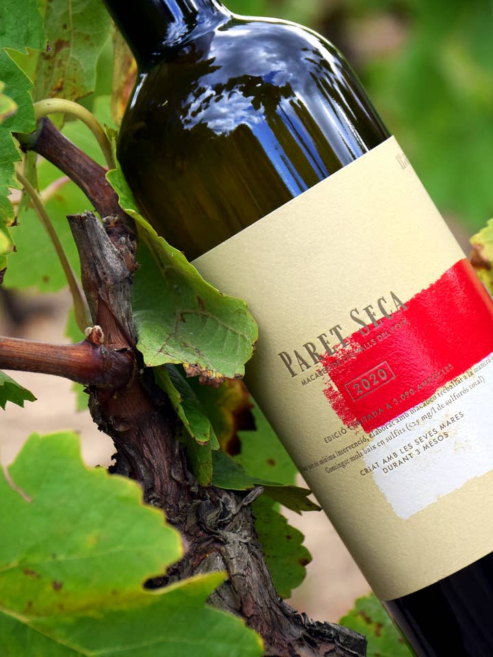 Paret Seca Macabeu 2022 natural white wine low in alcohol for wholesale by Paret Seca Vins de Mínima Intervenció