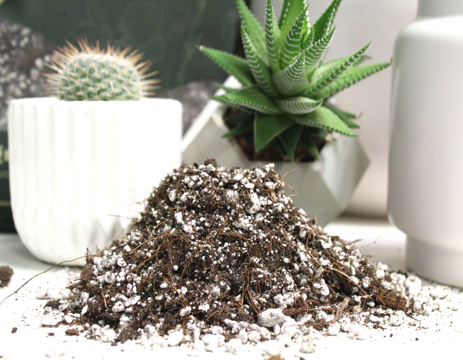 MAYA GROWING MEDIUMS - Wholesale Planting/Potting Soil - Cactus blend-Potting soil for indoor plants3