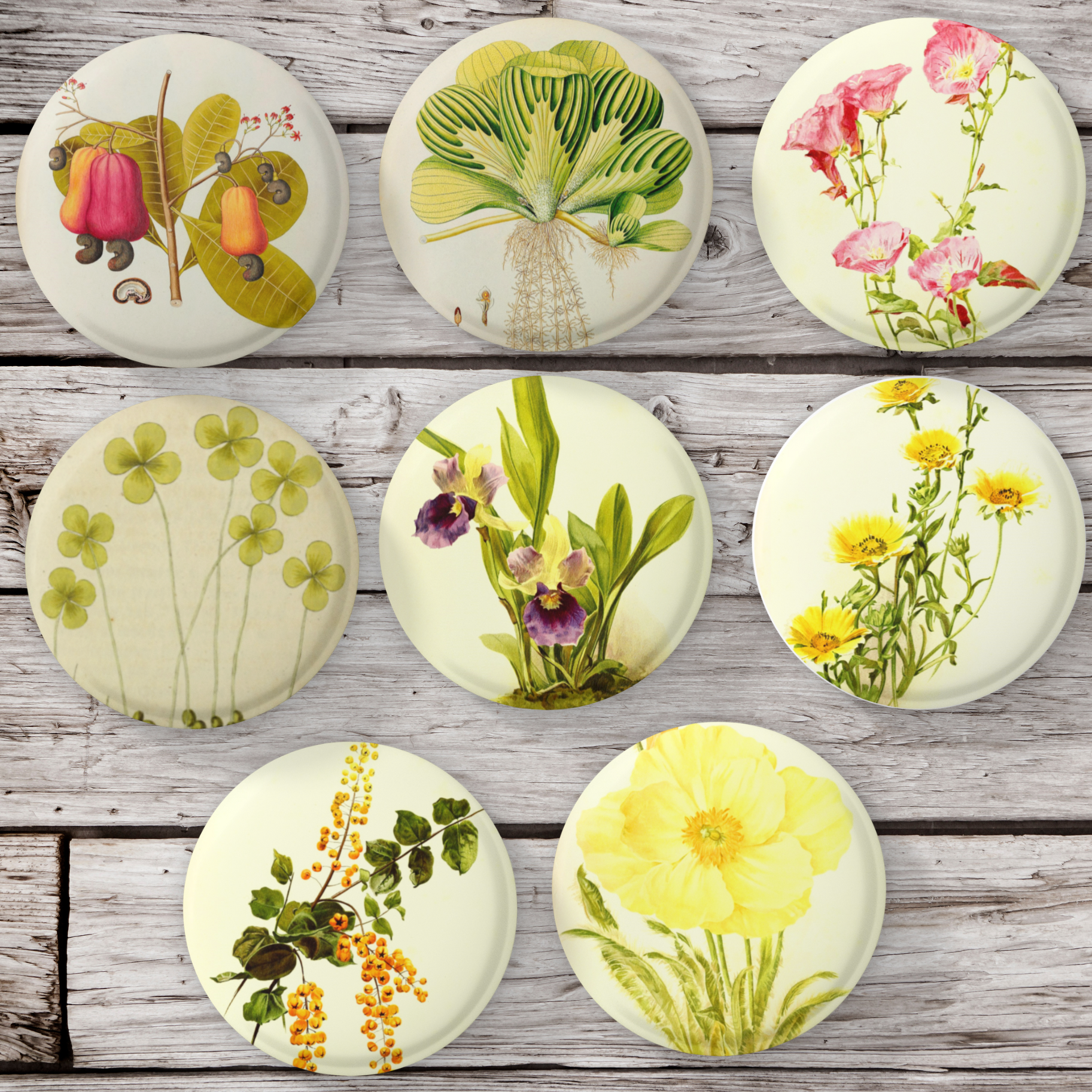 NatureCuts - Vente Épinglettes/boutons - Épingles botaniques, épingles à fleurs, épingles à plantes, épingles florales1