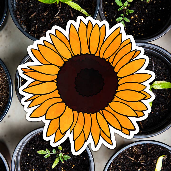 Solsikke klistermærke for engroshandel hos DesignwithMurial