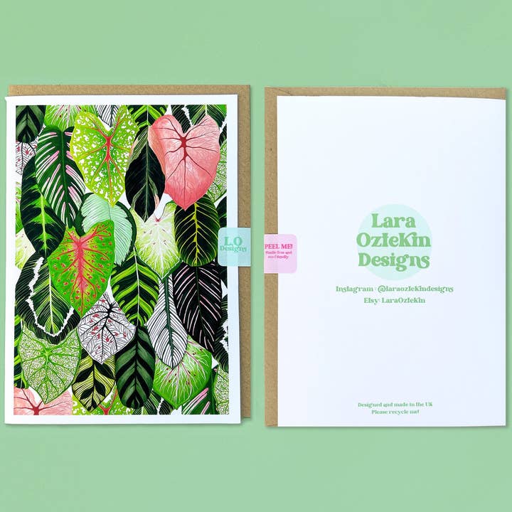 Lara Oztekin Designs – wholesale Vardagliga hälsningskort – Calathea bön växt & Caladium lämnar målning kort