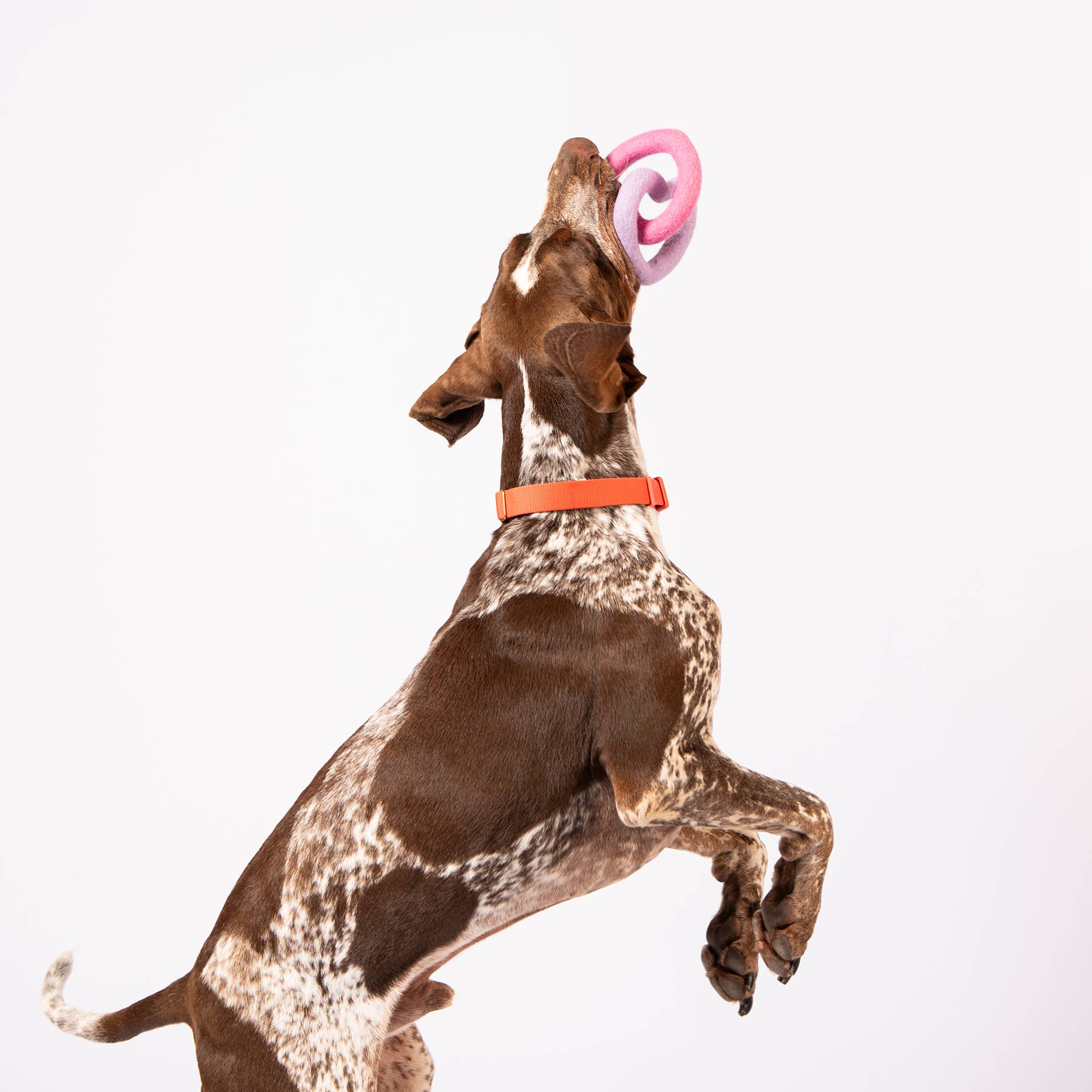 Awoo – Engroshandel Legetøj - Hund – Sweethearts filtlegetøj2