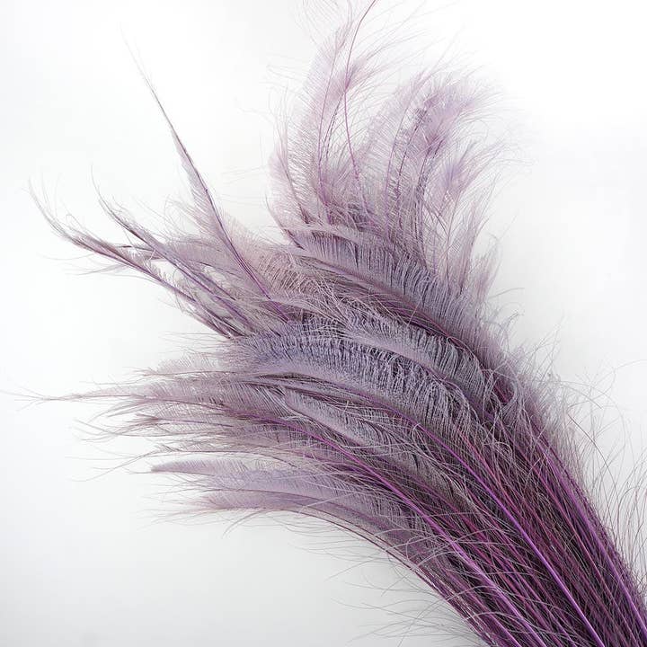 Zucker Feather Products - Wholesale Feathers - Peacock Swords Bleached/Dyed - Orchid
