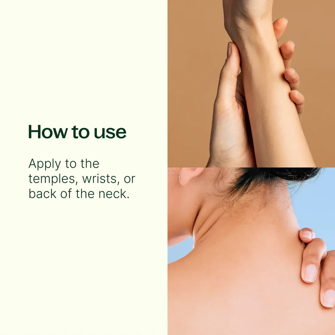 Plant Therapy – wholesale Eterisk olja Roll-On – Meditationsblandning av eteriska oljor, färdigblandad roll-on2