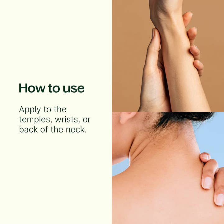 Plant Therapy – wholesale Eterisk olja Roll-On – Meditationsblandning av eteriska oljor, färdigblandad roll-on2