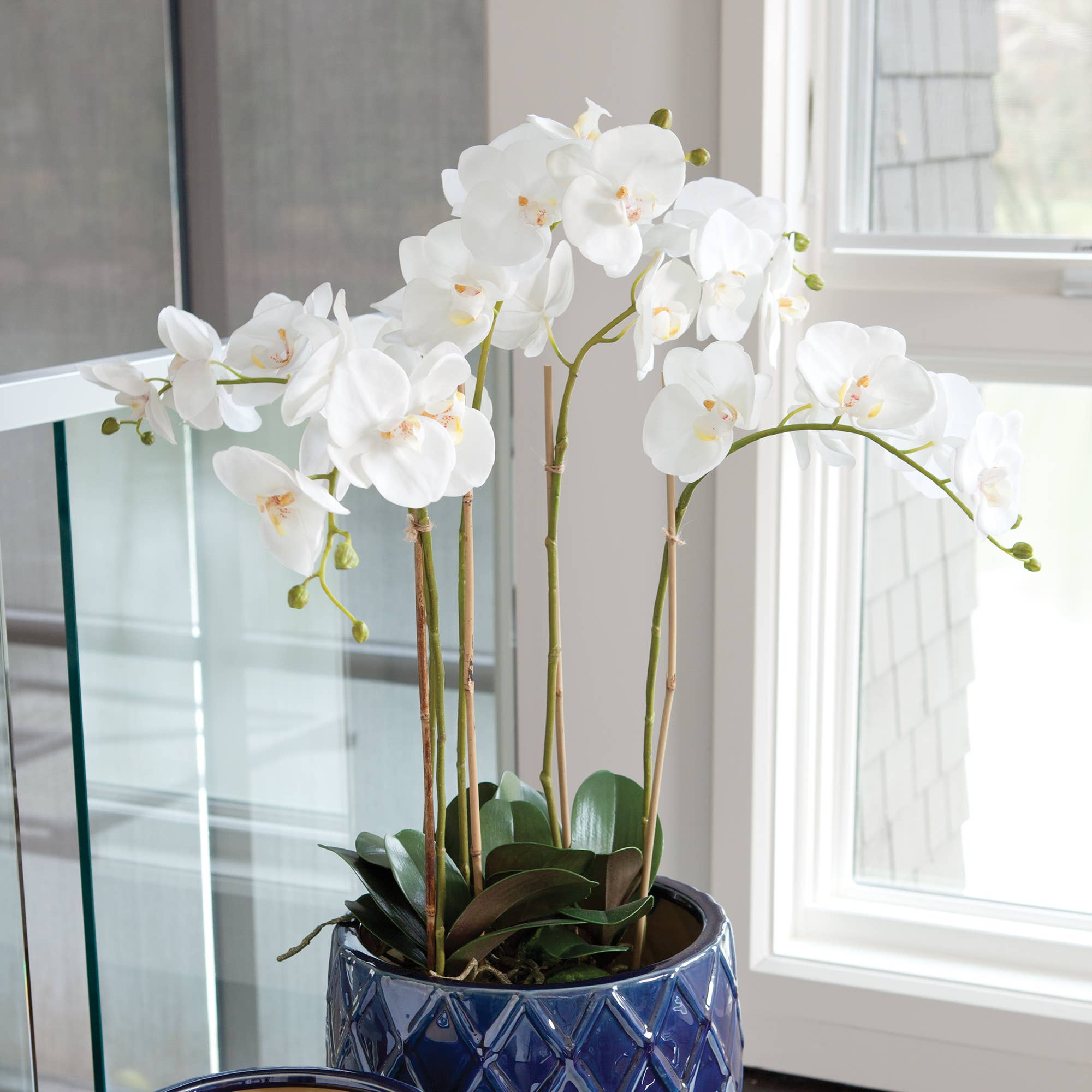 Napa Home & Garden - Wholesale Artificial Flowers - Phalaenopsis Orchid Bowl Drop-In 25"1