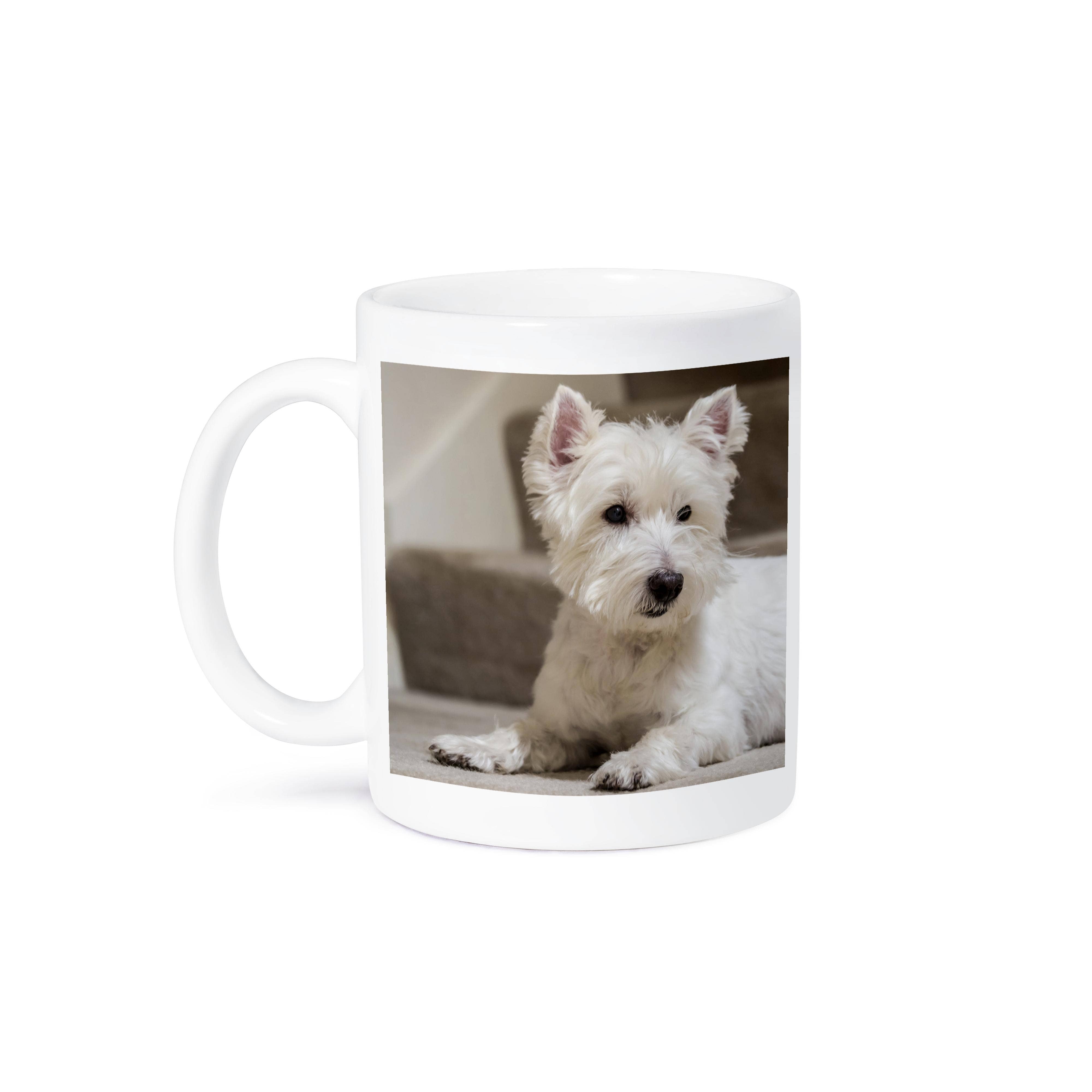 3dRose - Wholesale Coffee Mug - 3dRose, Zipper, a Westie, reclining by the stairs. , Mug8