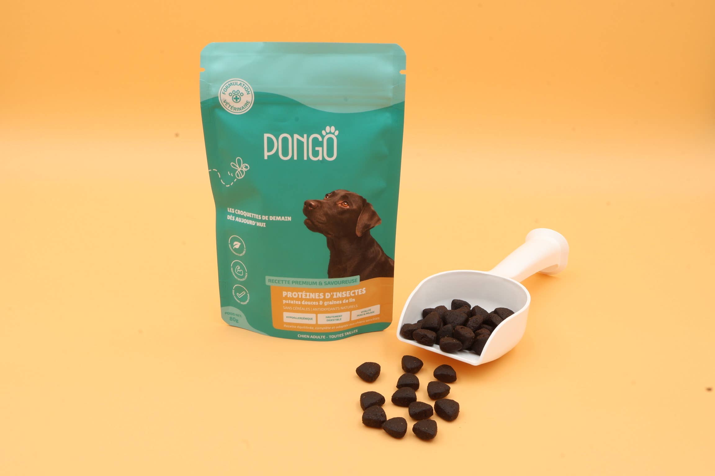 PONGO - Wholesale Pet food – Dog - Hypoallergenic grain-free dog kibbles - 80g1