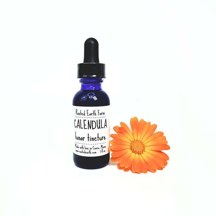 Rooted Earth Farm + Apothecary - Wholesale Tincture - Calendula Tincture - 2 Size Options