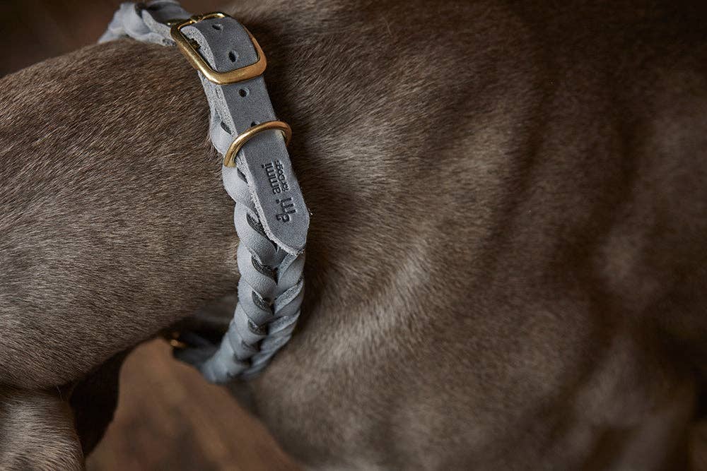 ammi for Dogs – Engroshandel Halsbånd - Hund – Flettet tykt læderhalsbånd9