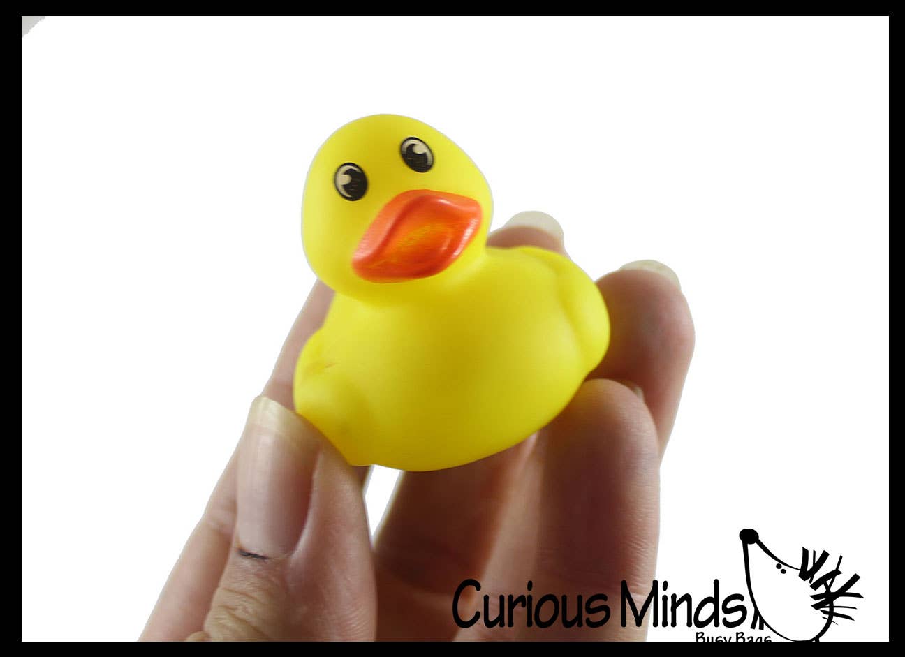 Curious Minds Toys - Wholesale Toy Set - Kids - 1 Small 1.5" Assorted Rubber Ducks - Rubber Duckies - Cute N1